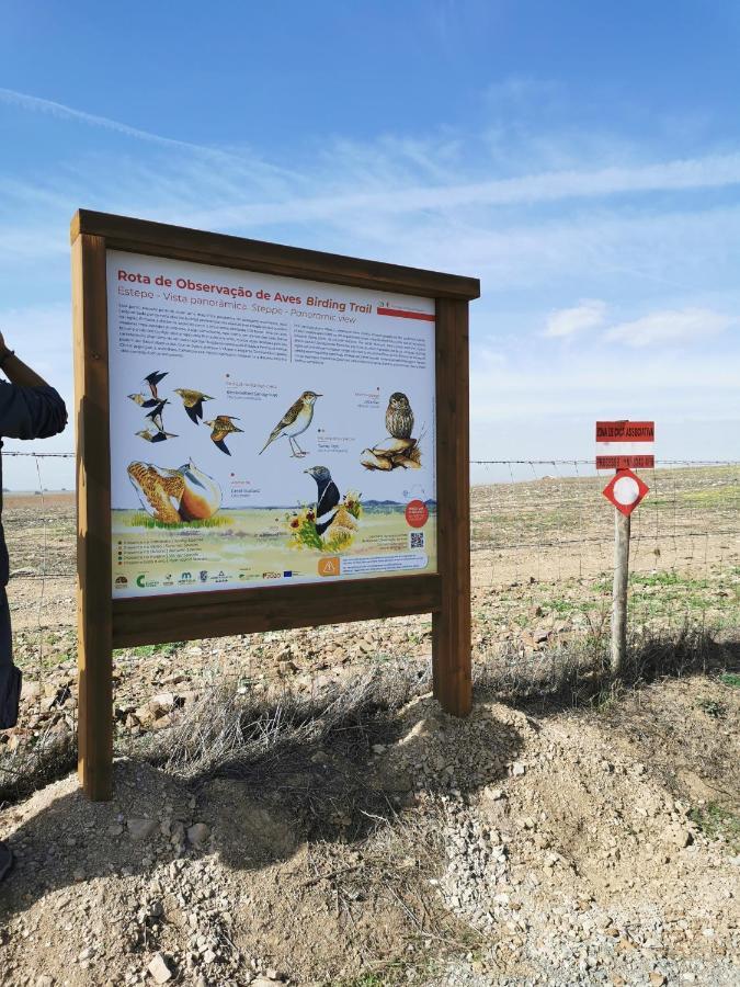 Апартаменты 4Bs - Birds & Bicycles Каштру-Верди Экстерьер фото